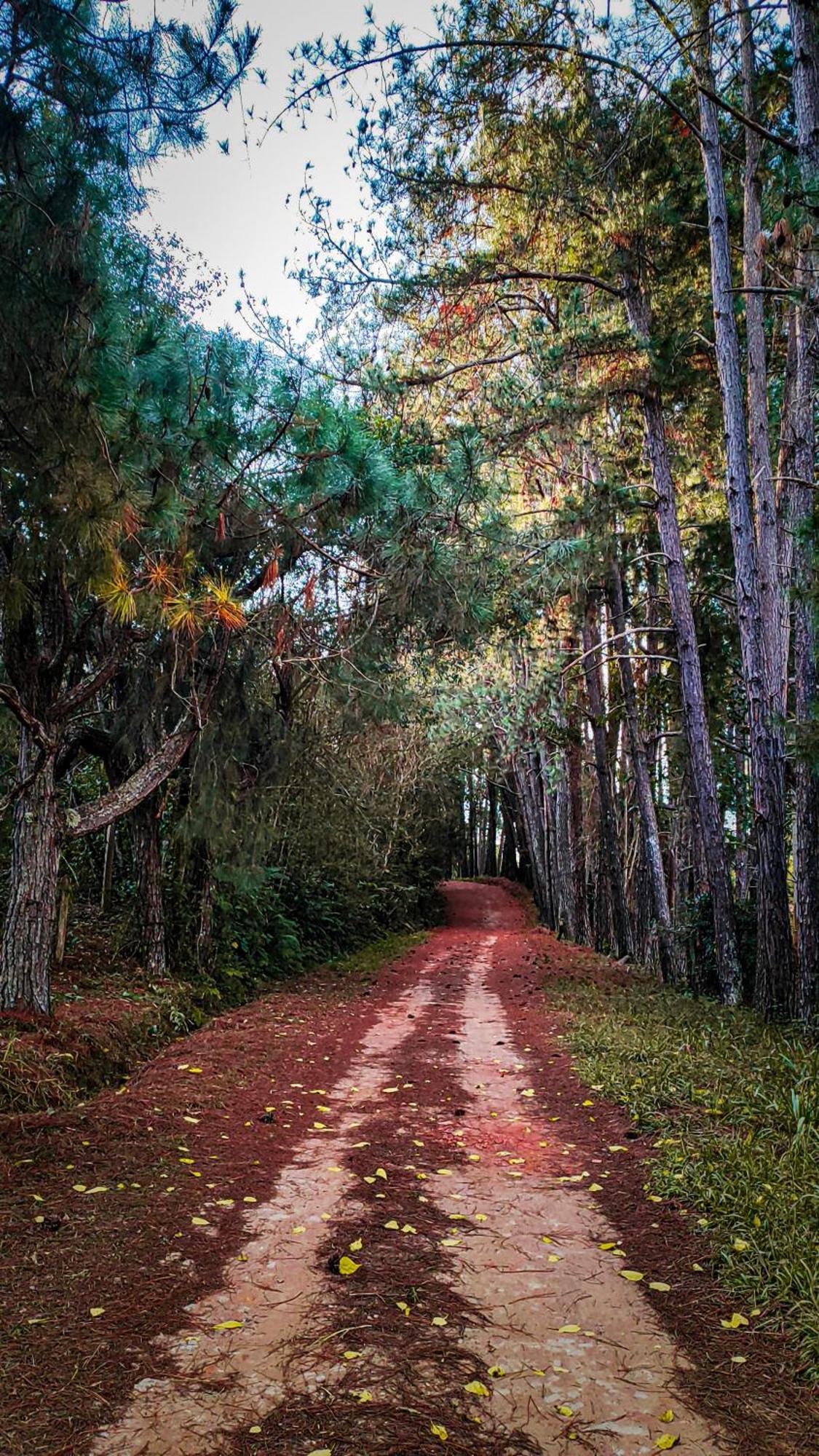 Pousada Colar De Ouro Cunha Bagian luar foto