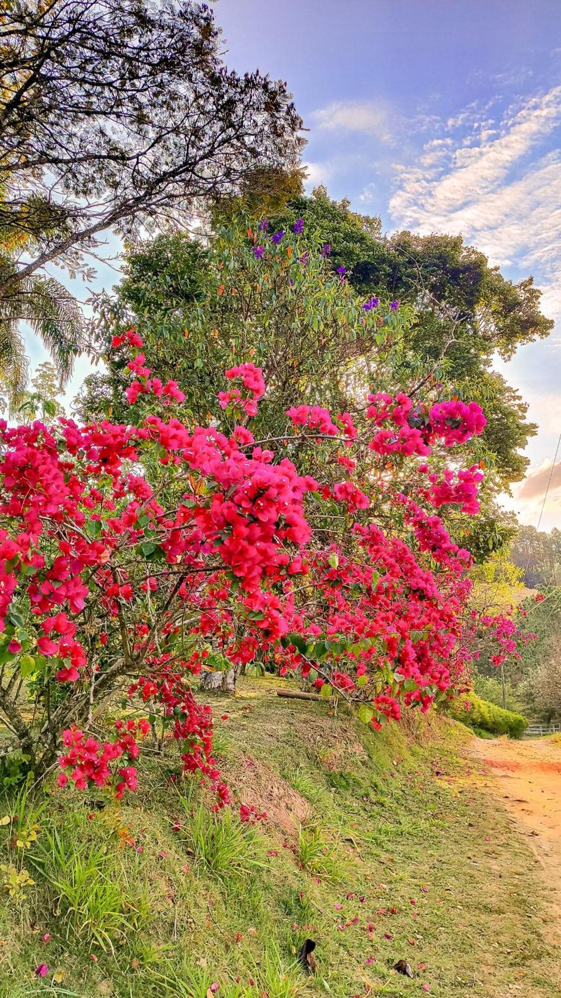 Pousada Colar De Ouro Cunha Bagian luar foto